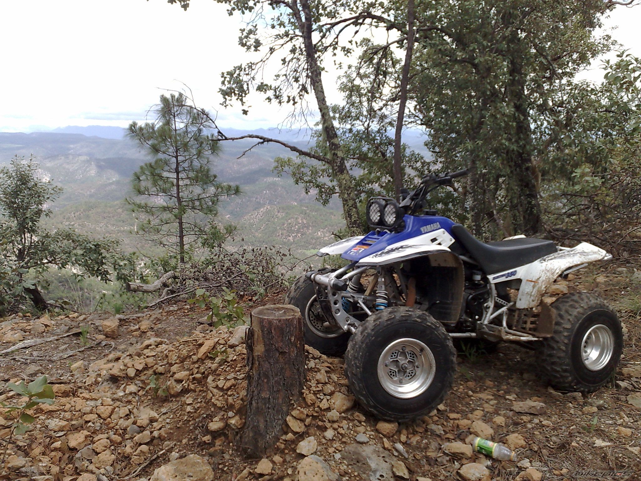 Bike Photo 1361687