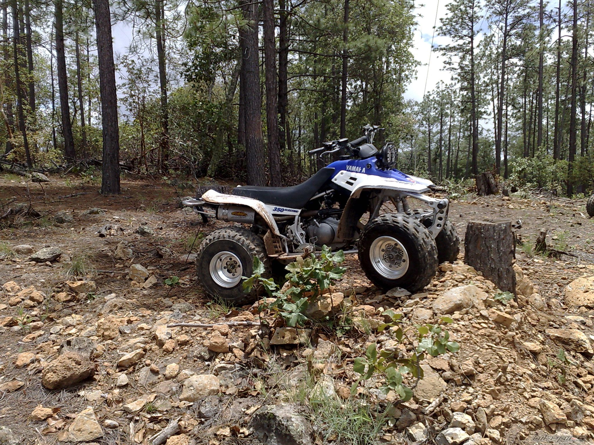 Bike Photo 1361689