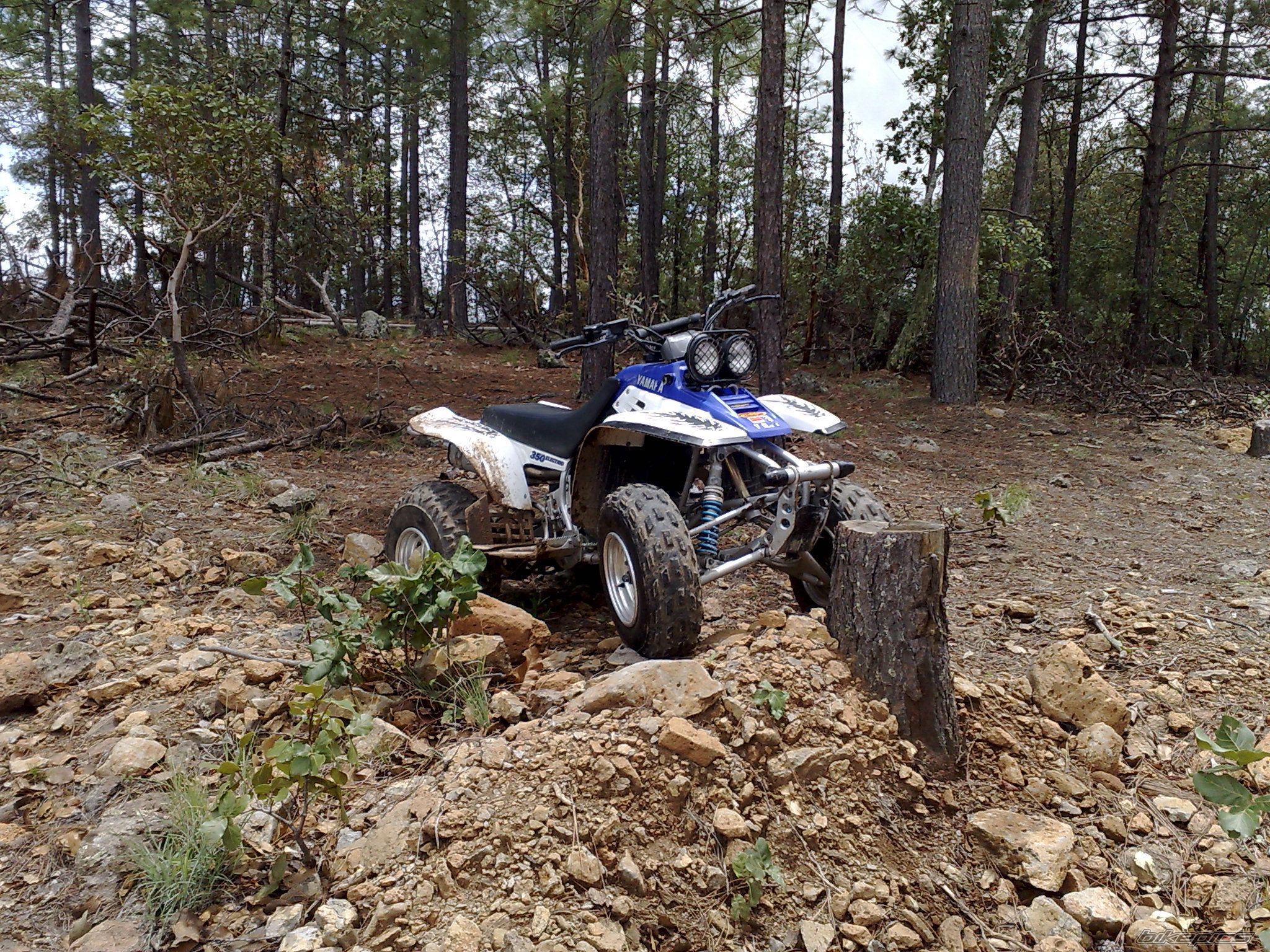 Bike Photo 1361690