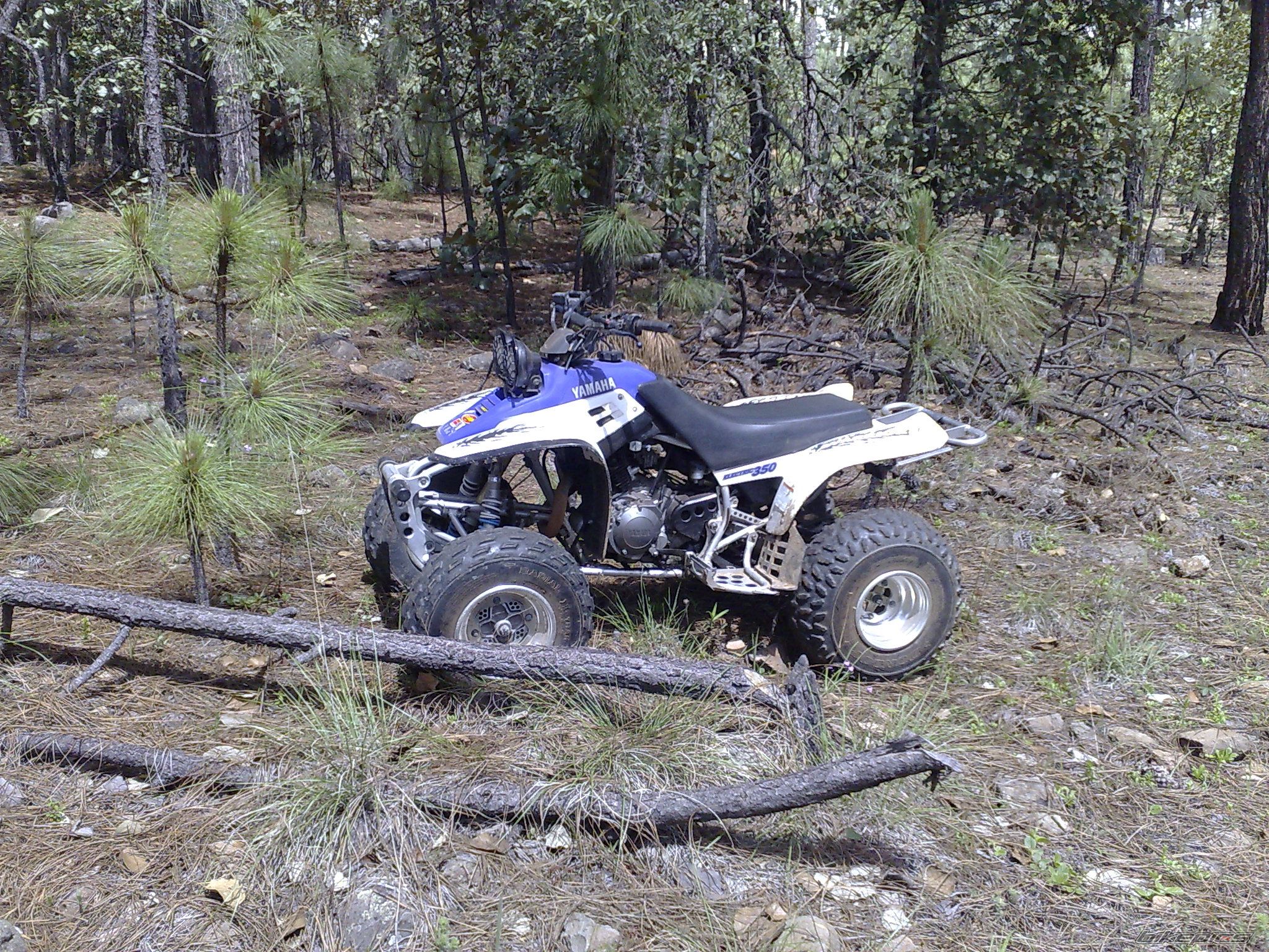 Bike Photo 1361692