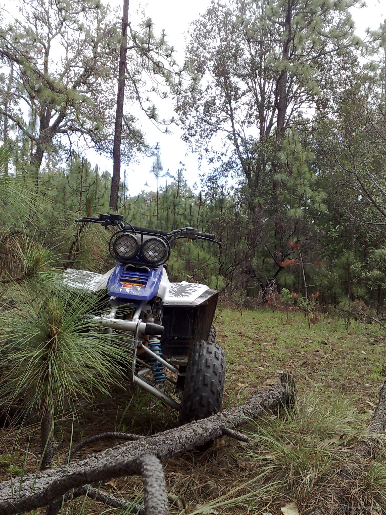 Bike Photo 1361696