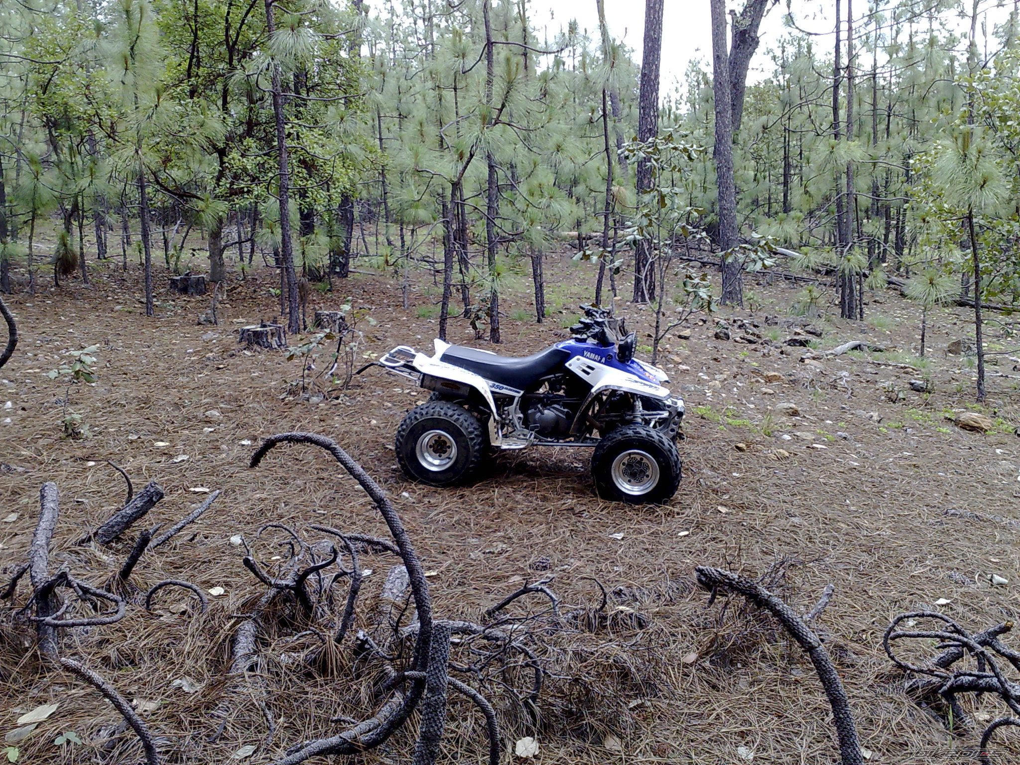 Bike Photo 1361699