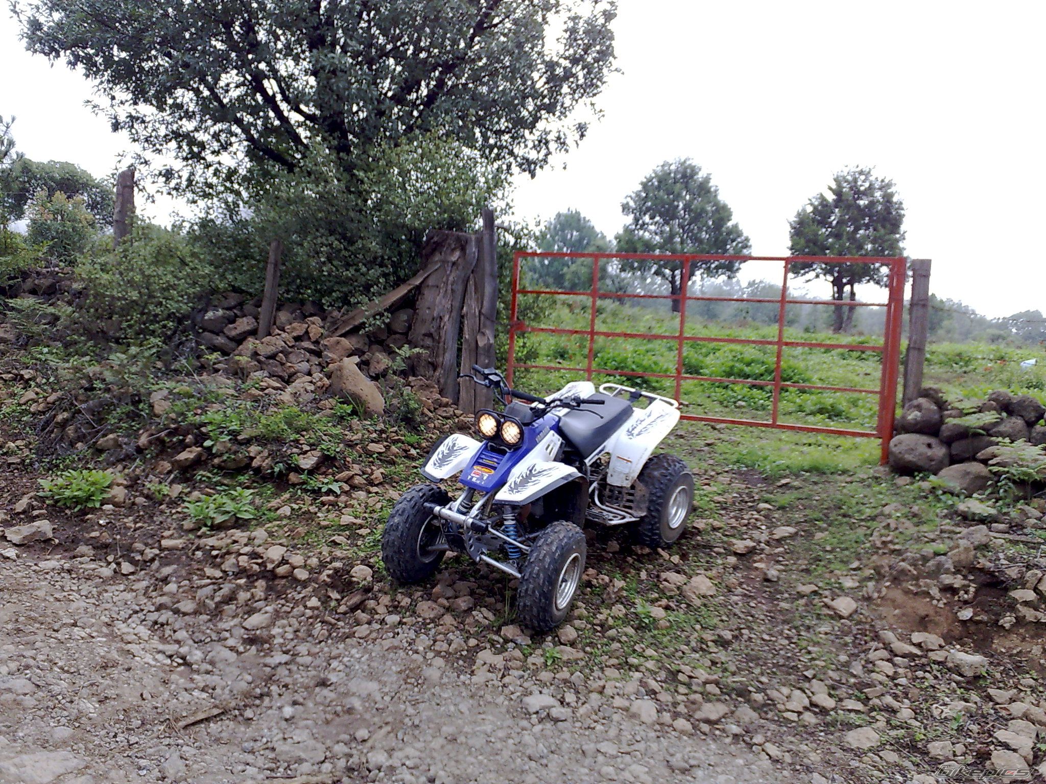 Bike Photo 1361700