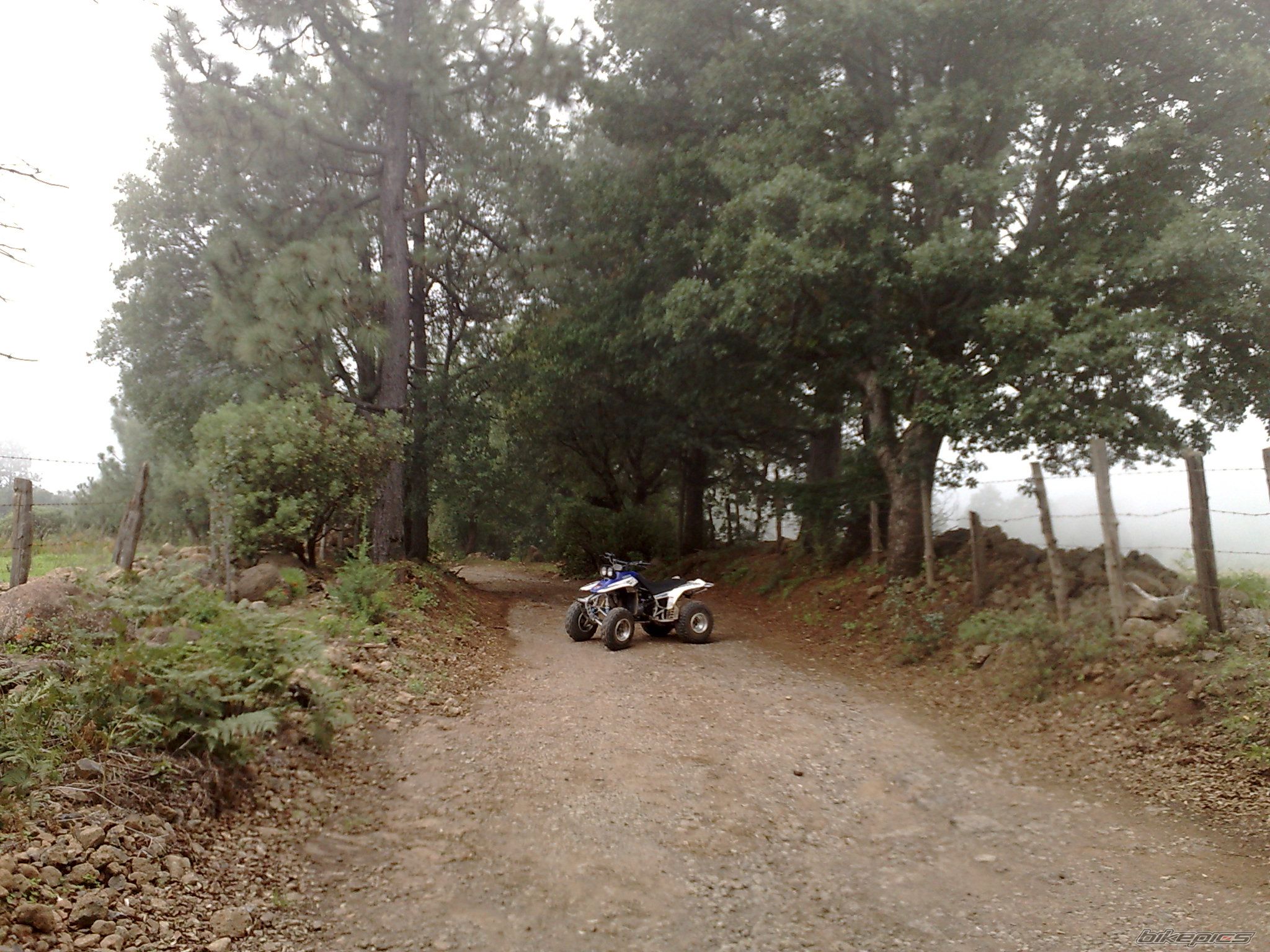 Bike Photo 1361701