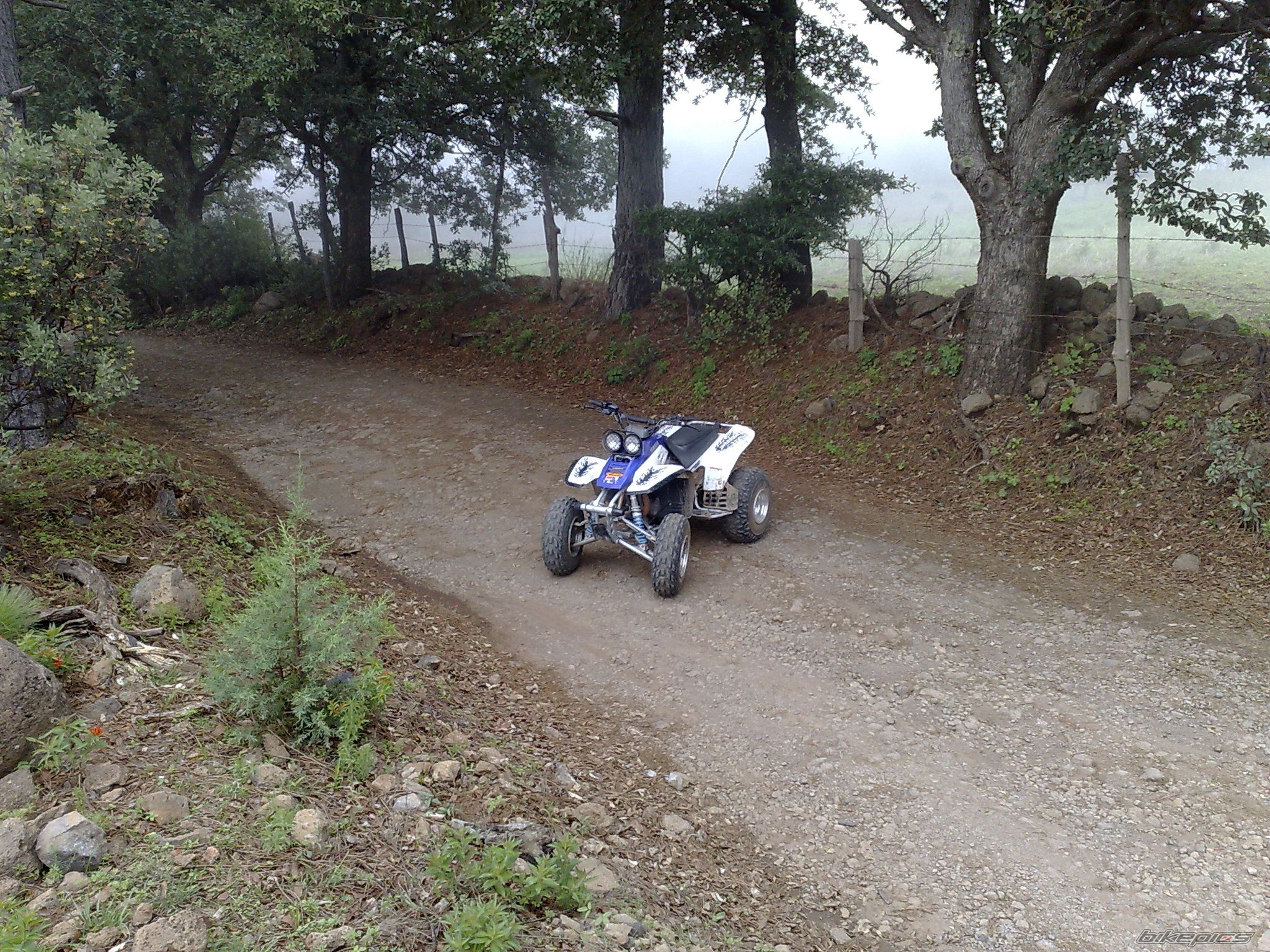 Bike Photo 1361702
