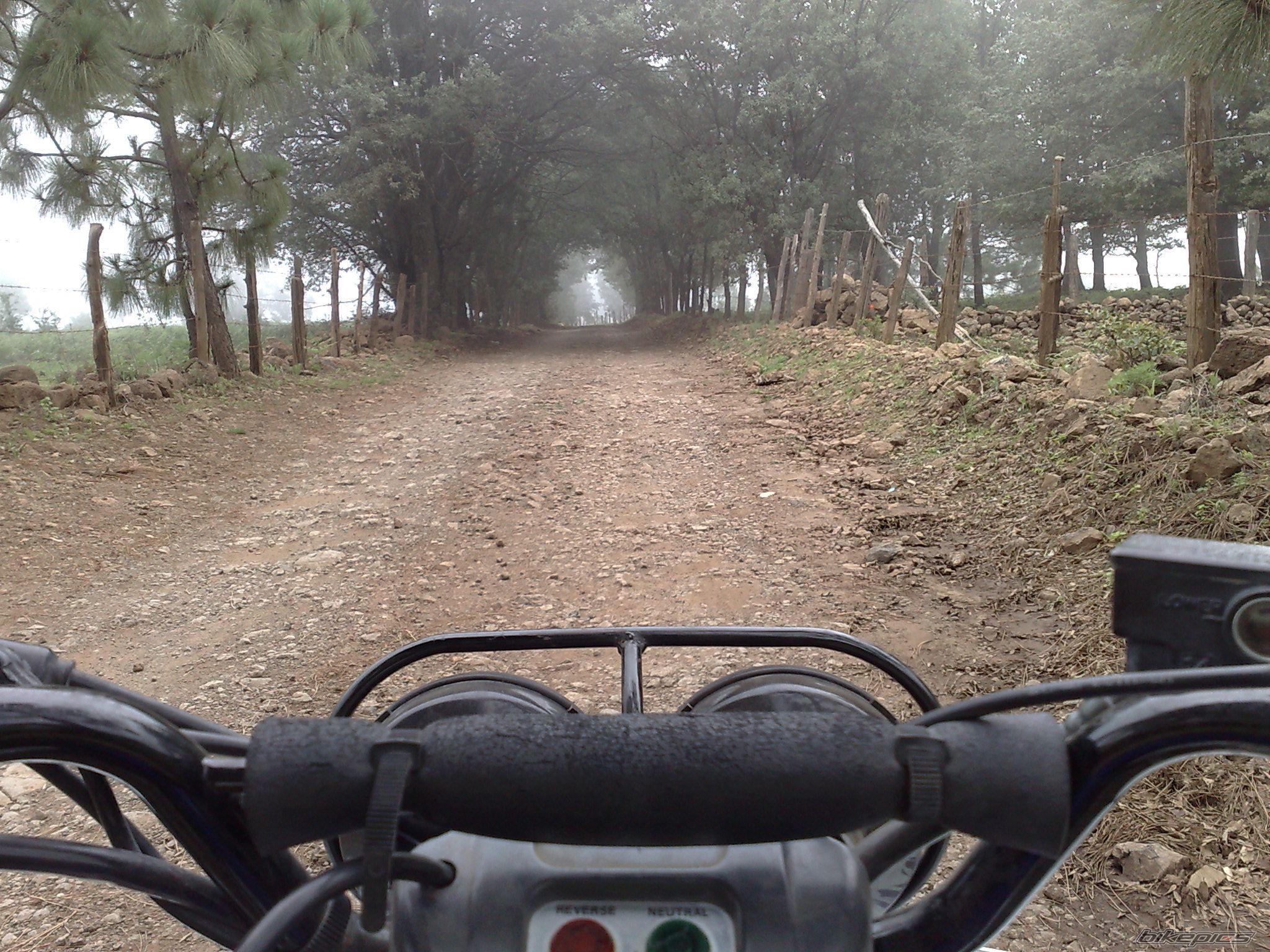 Bike Photo 1361703