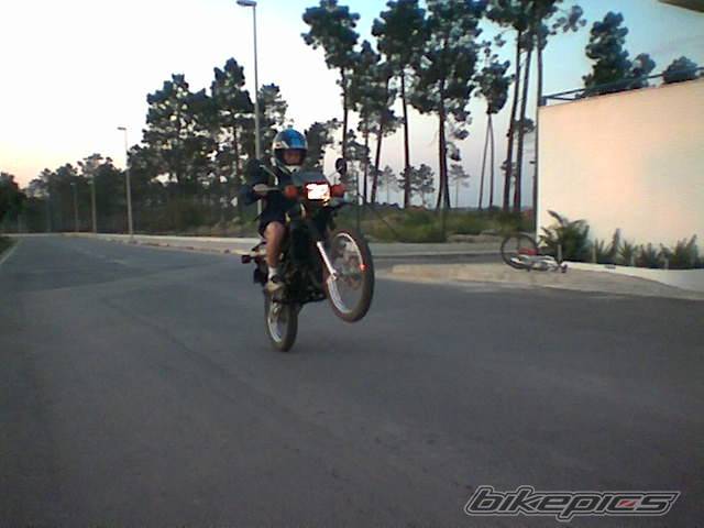 Photo 136171
