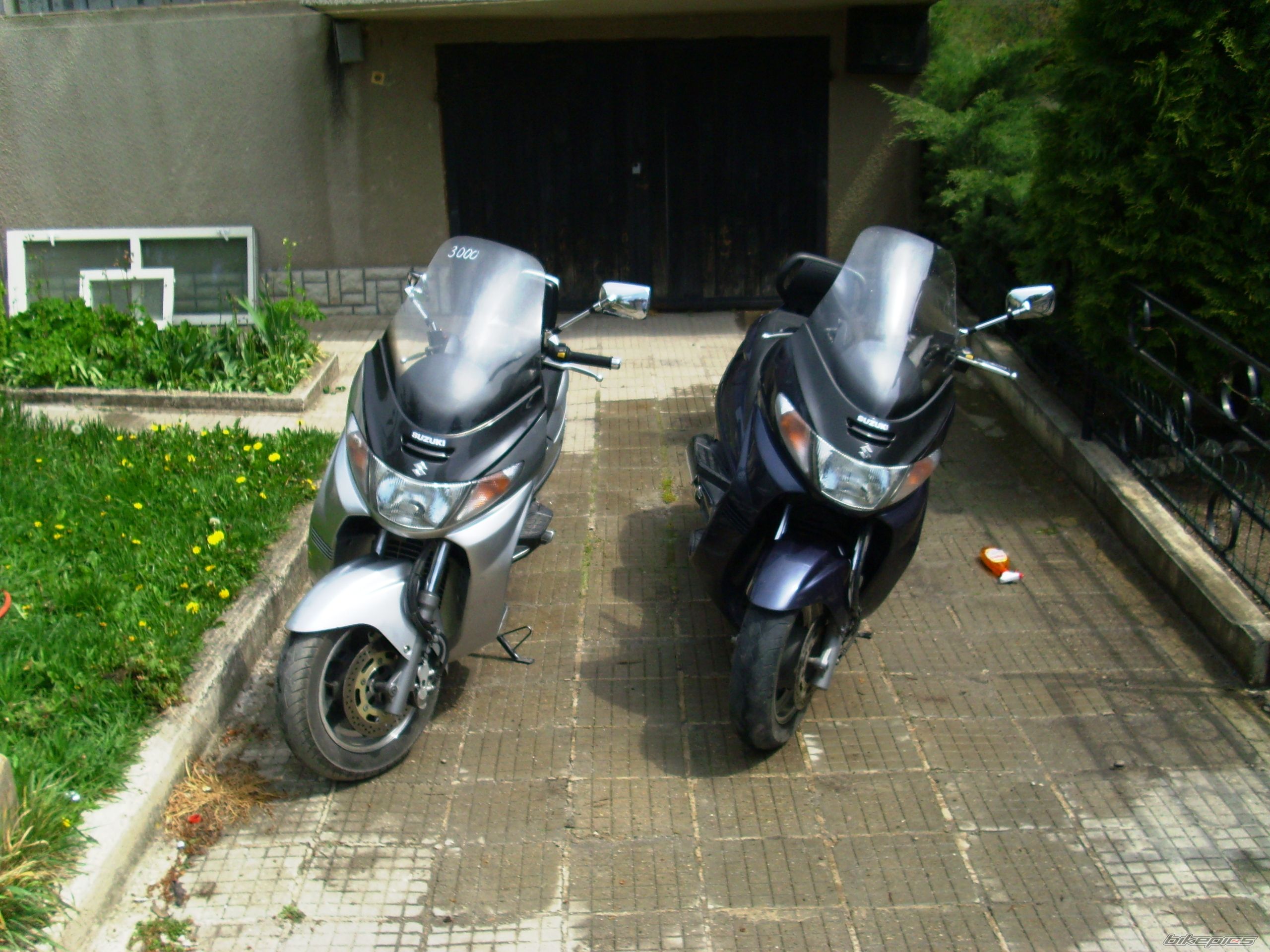 Photo 1361825