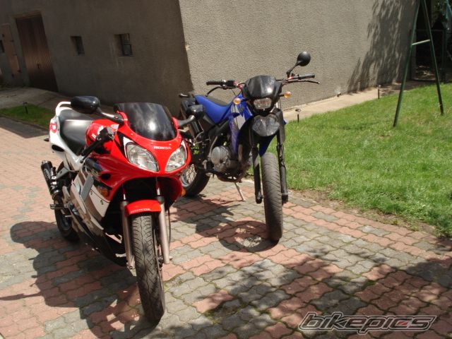 Photo 1361838