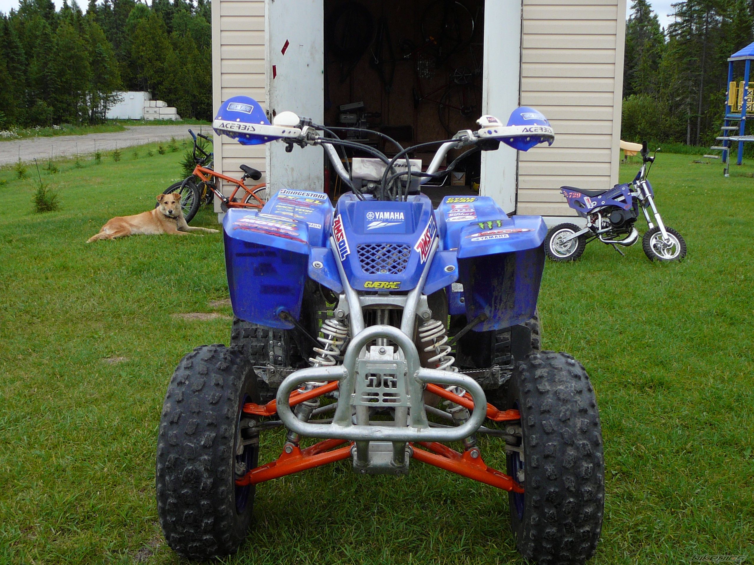 Photo 1361894