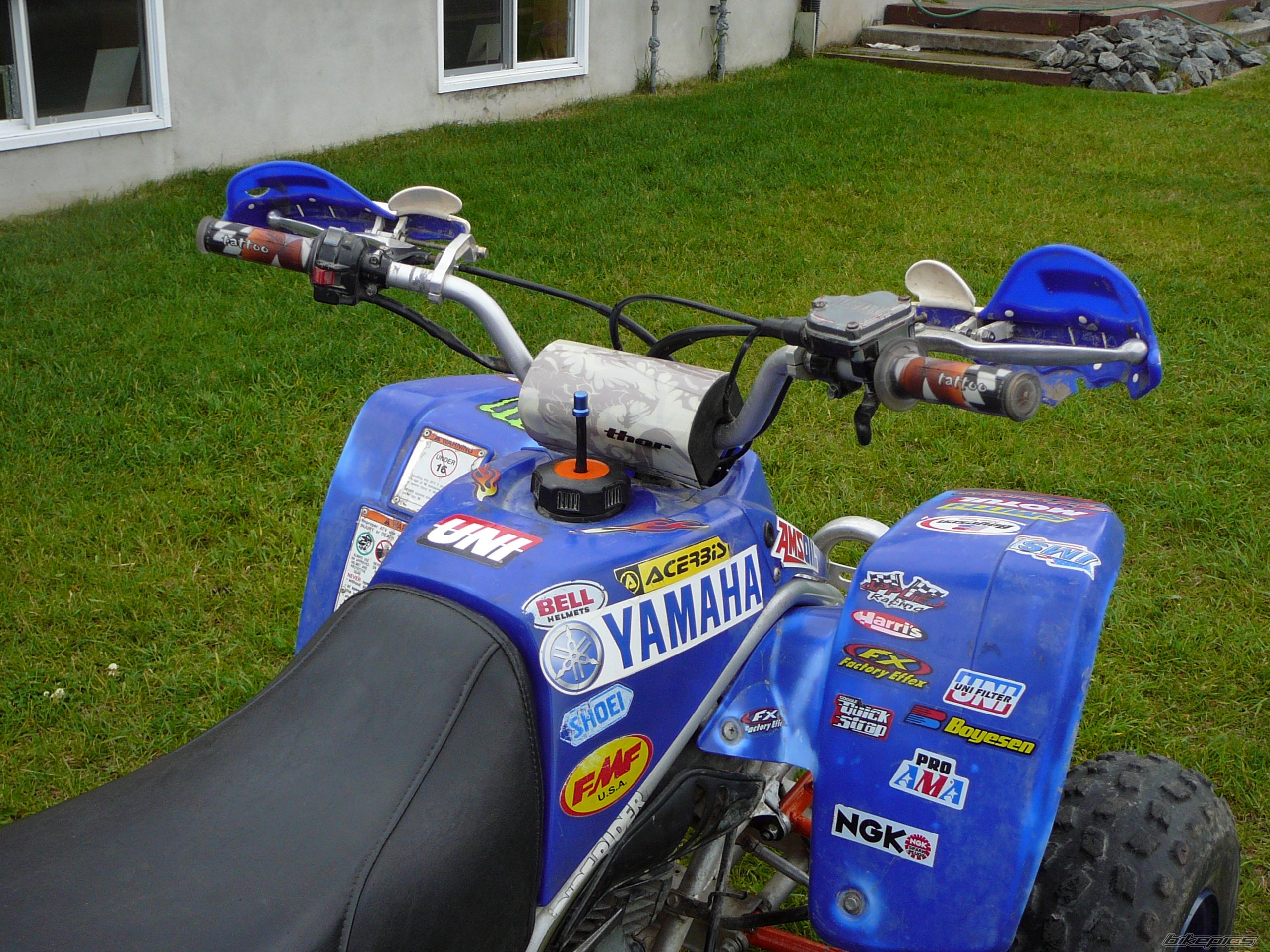 Photo 1361897