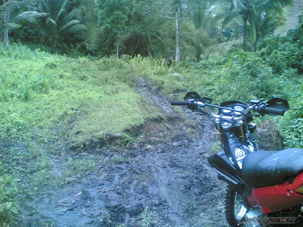 Photo 1361912