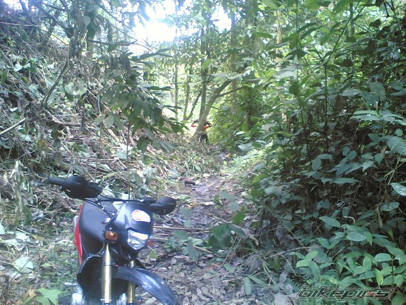 Photo 1361913