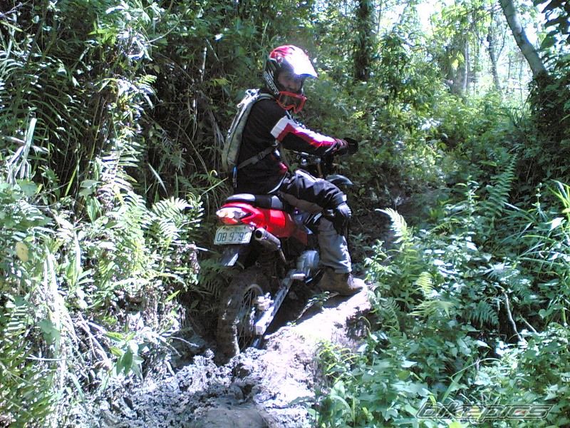 Bike Photo 1361915