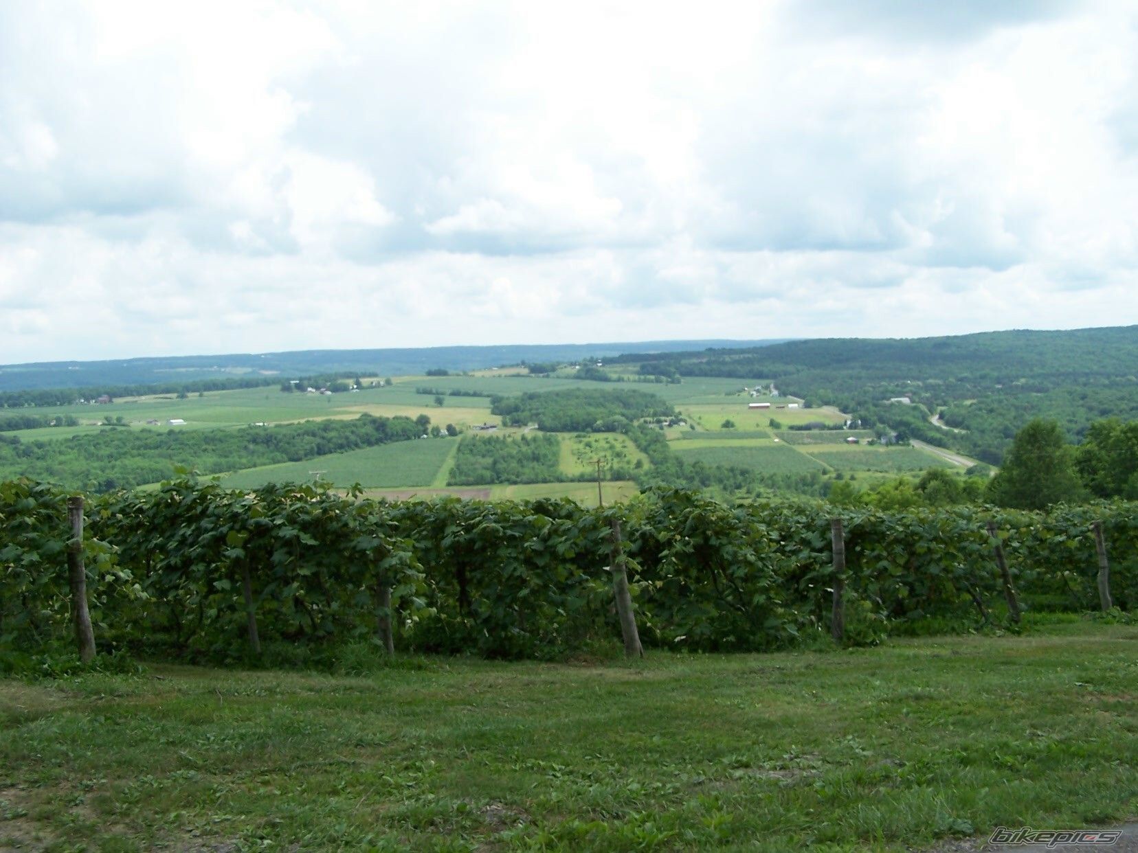 Photo 1361920