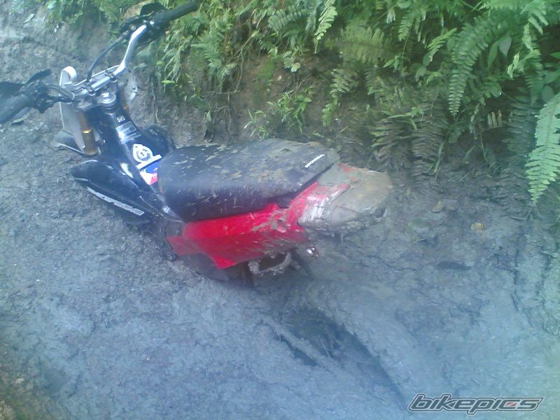 Photo 1361927