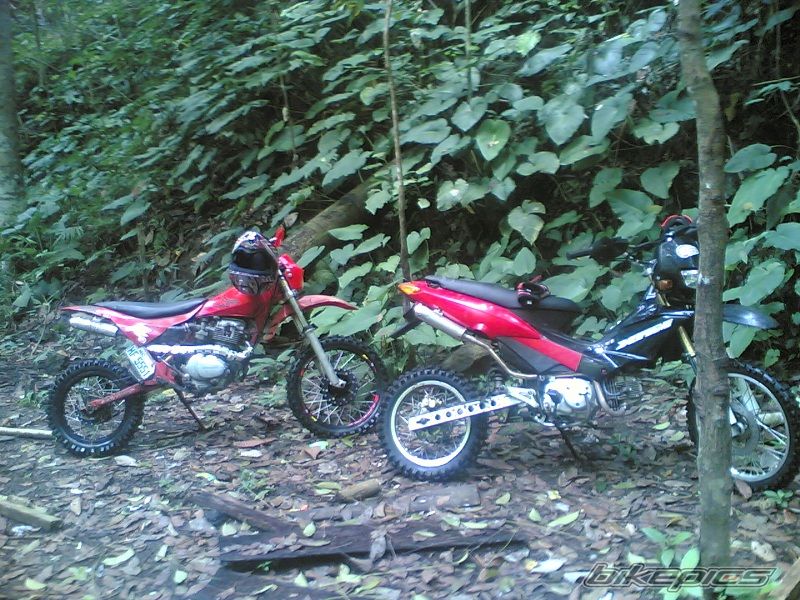 Photo 1361947