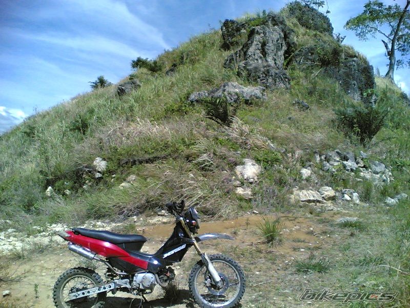 Photo 1361950