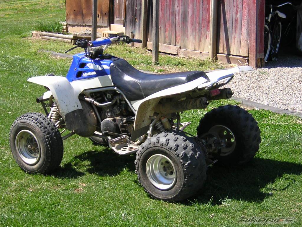 Photo 136212