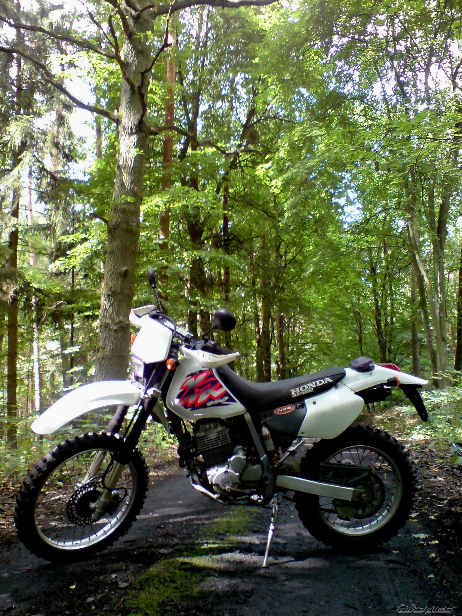 Bike Photo 1362124