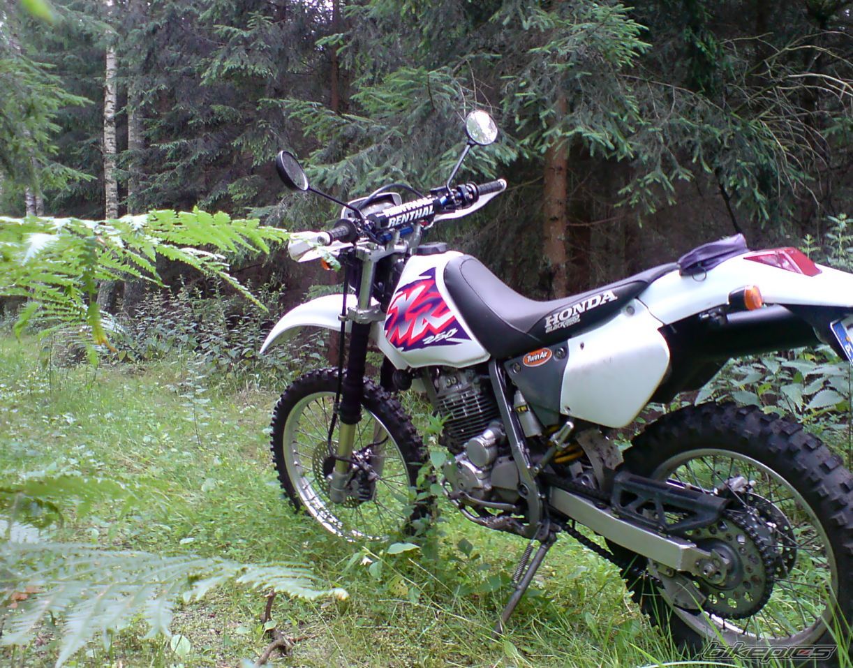 Photo 1362126