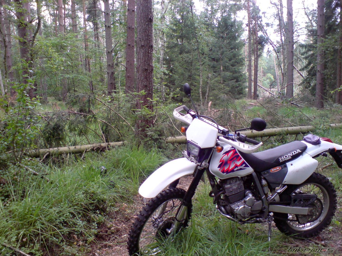 Photo 1362128