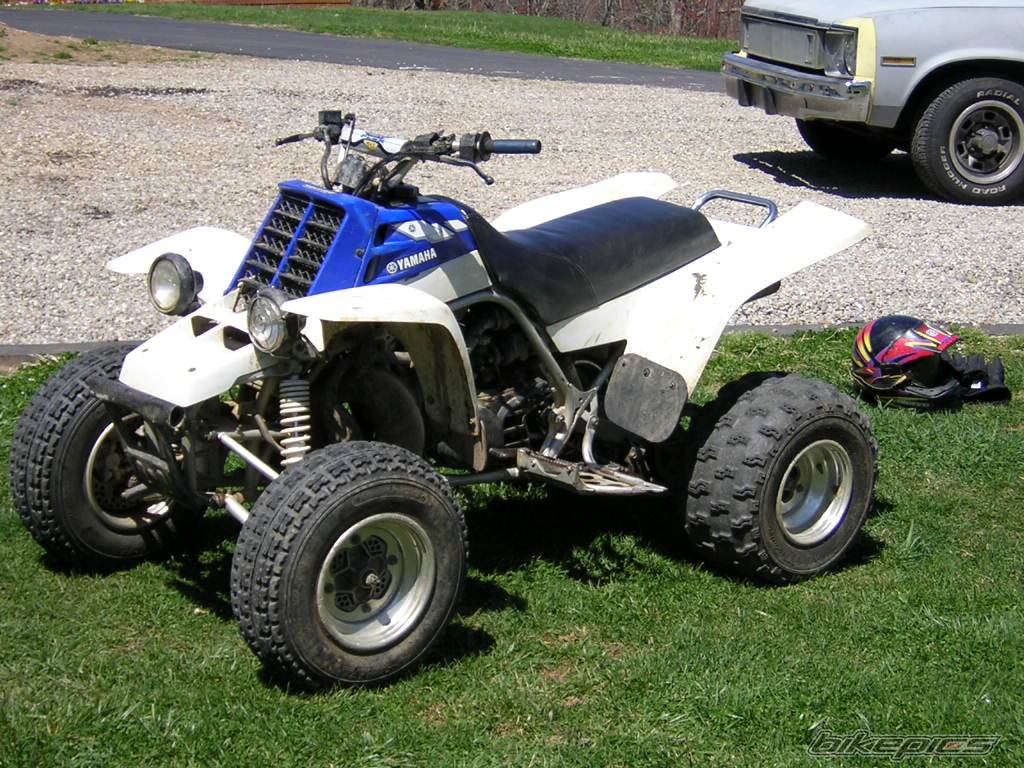 Photo 136213