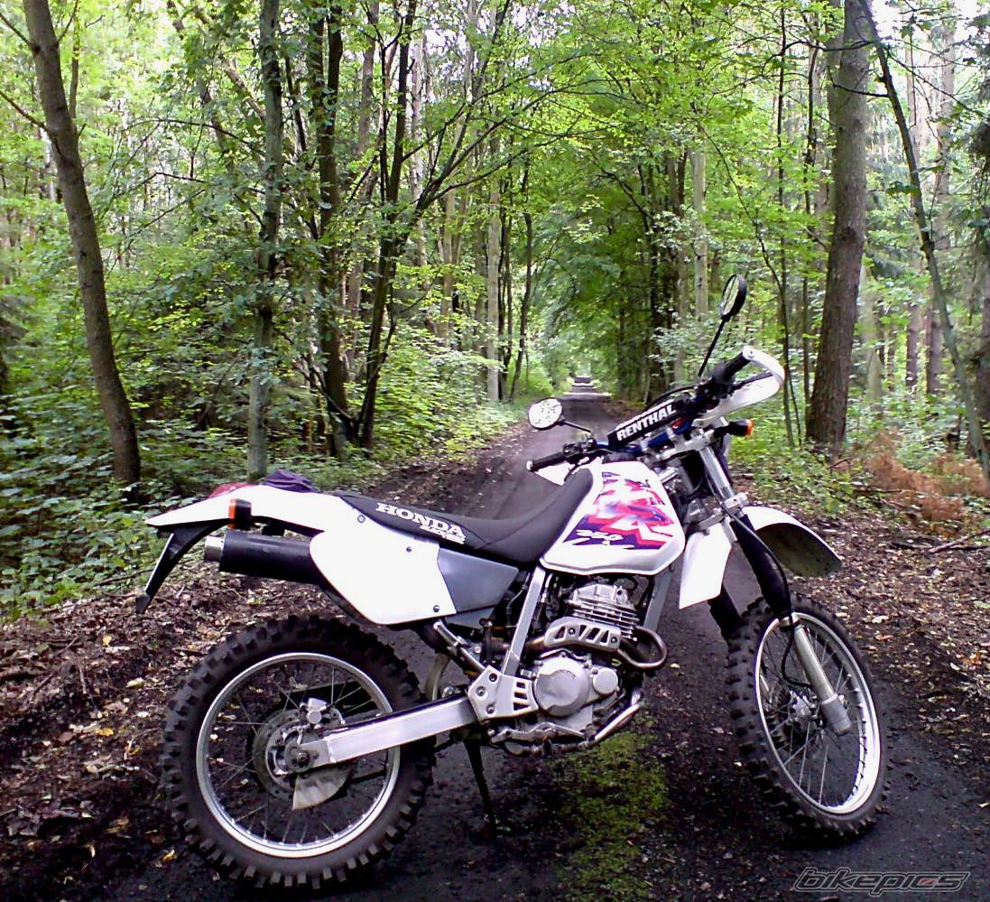 Photo 1362132