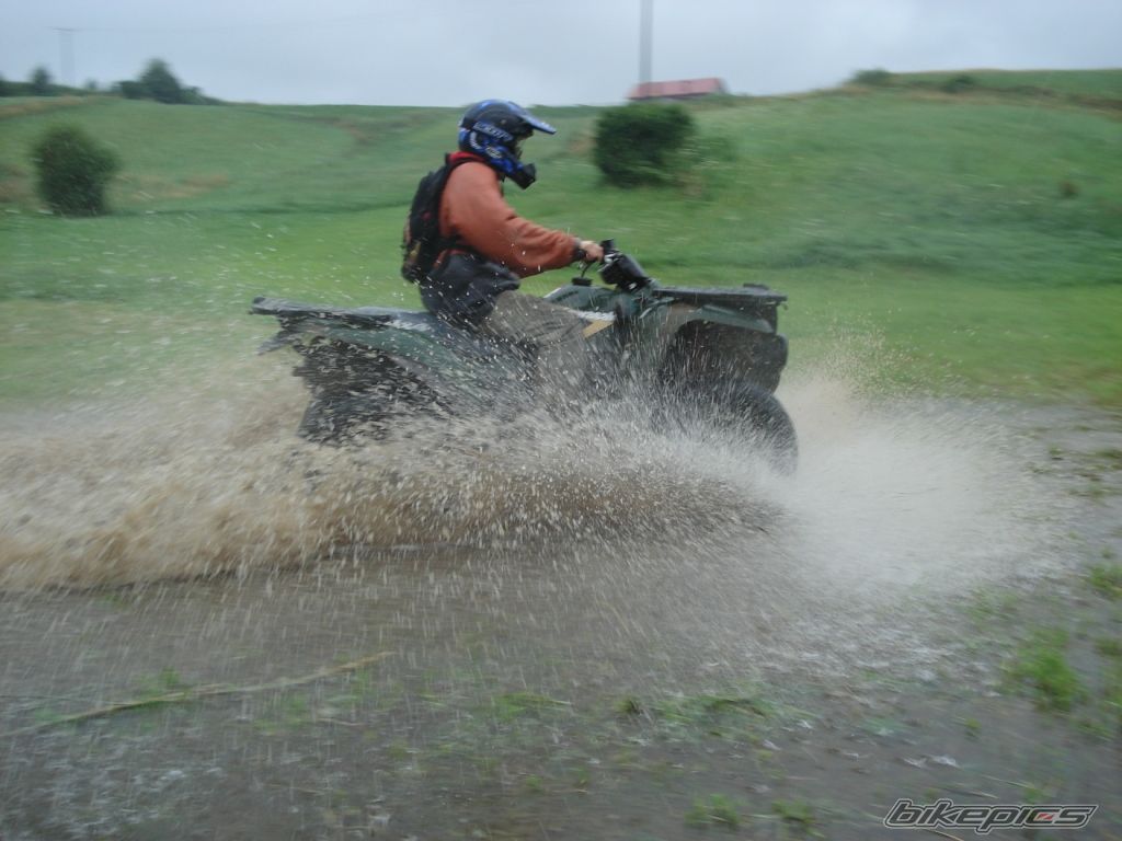 Photo 1362184