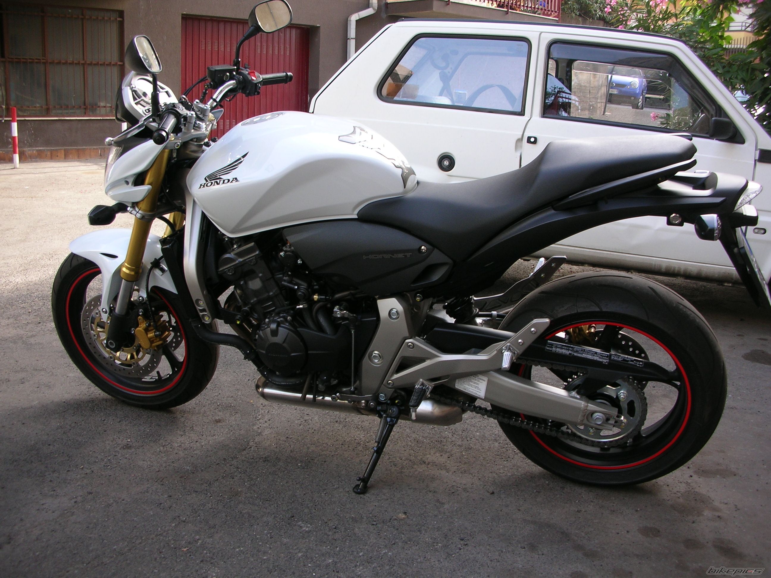 Photo 1362263