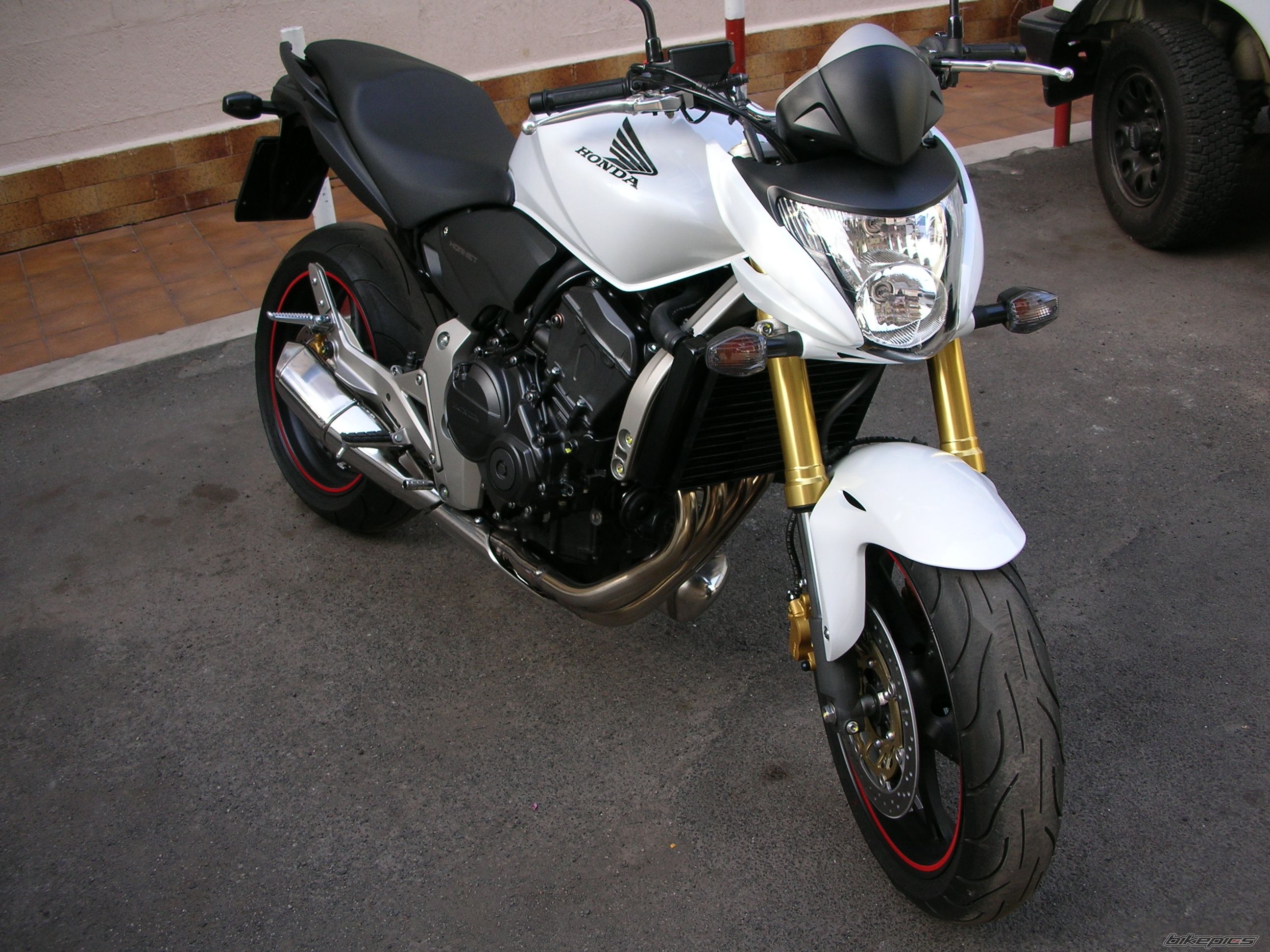 Photo 1362279