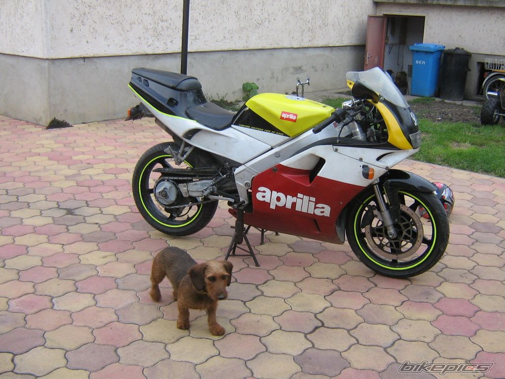 Photo 1362293