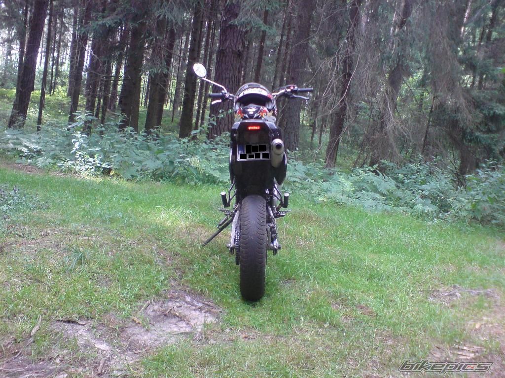 Photo 1362294