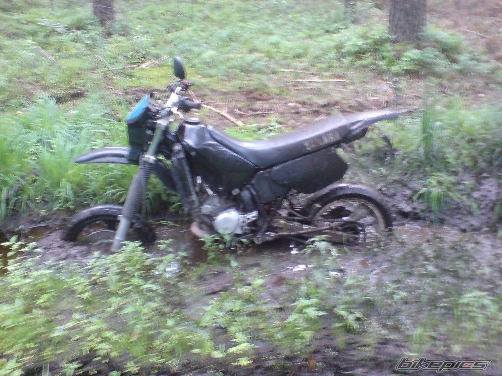 Photo 1362299