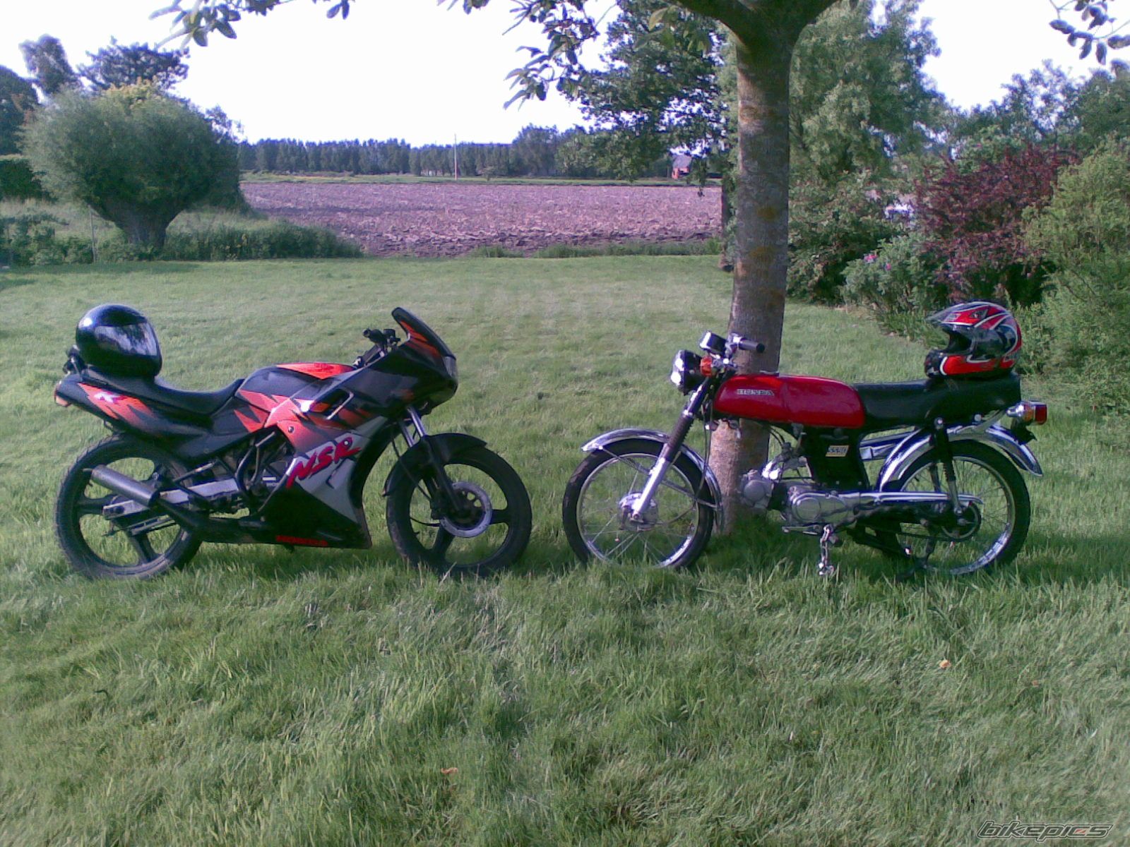 Photo 1362382