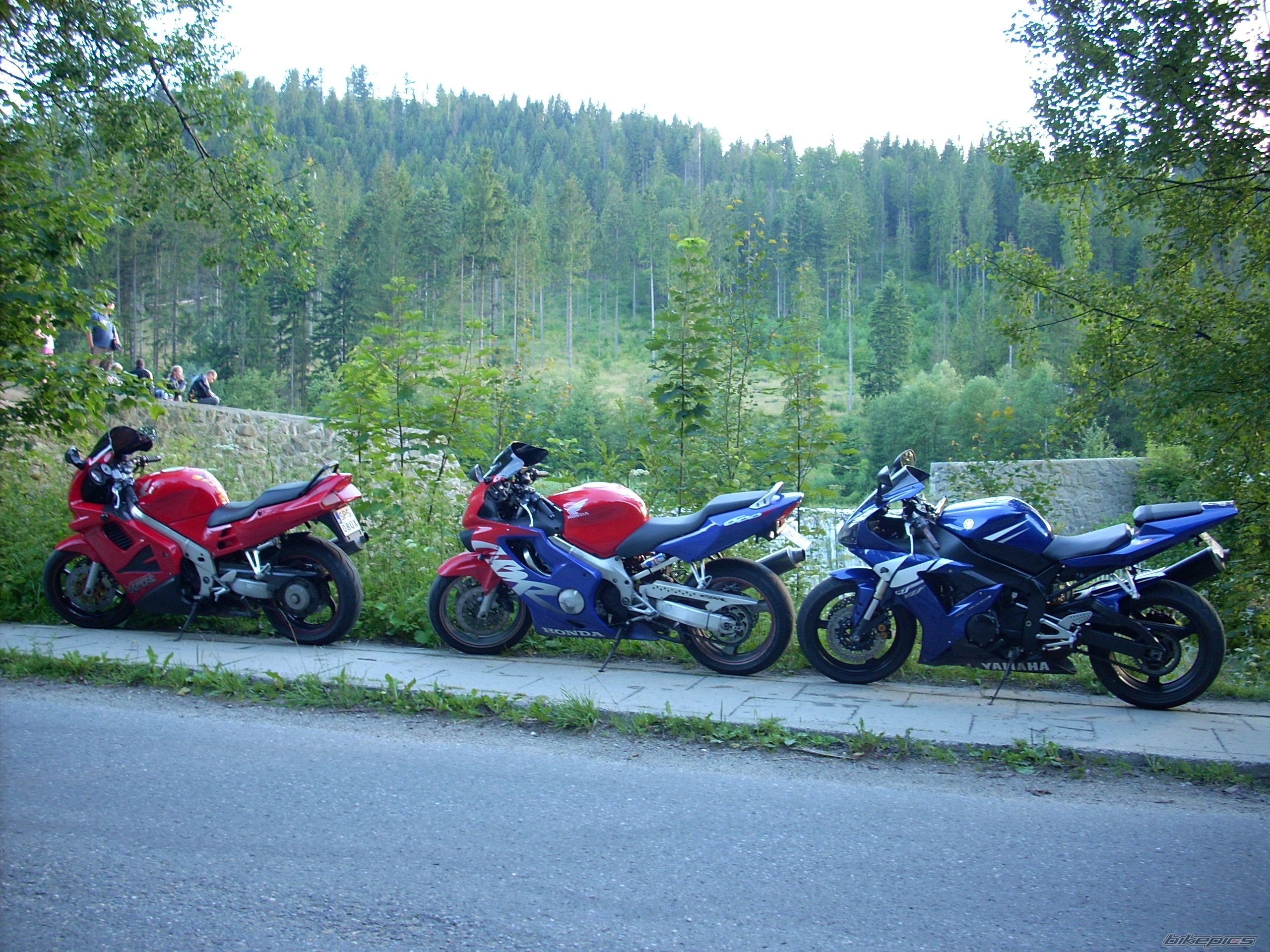 Photo 1362393