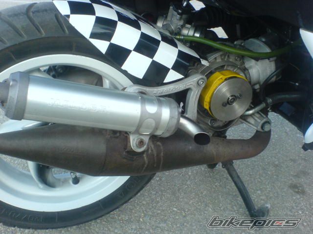 Photo 1362468