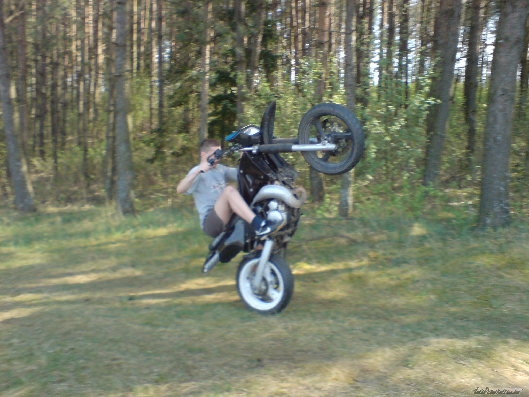 Photo 1362527
