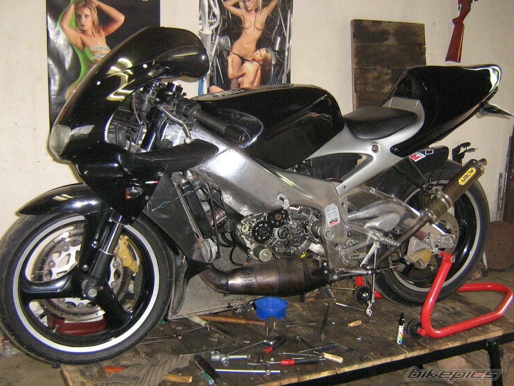 Photo 1362571