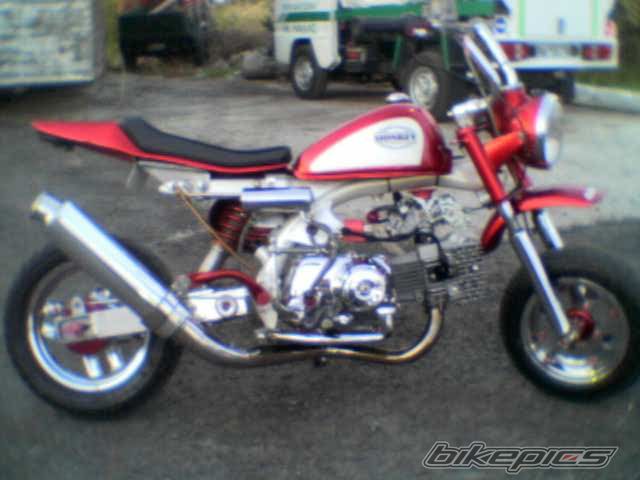 Photo 1362582