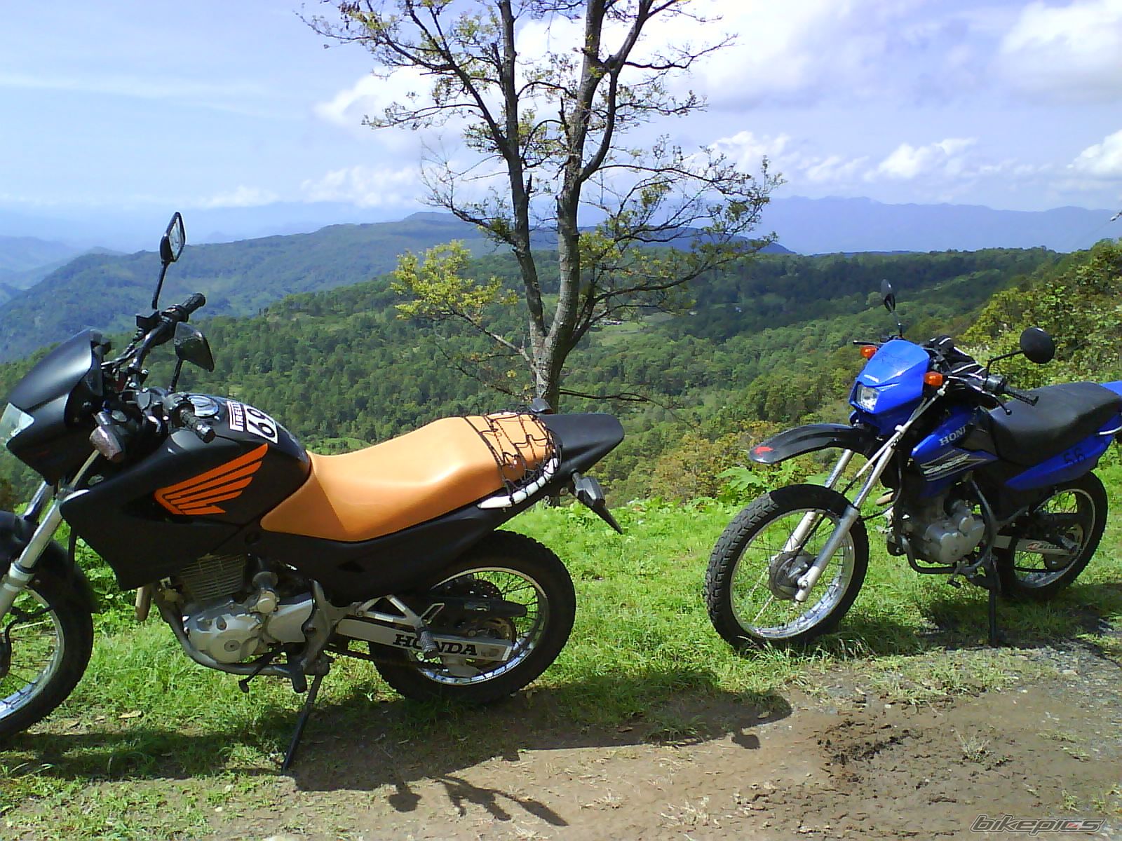Photo 1362620