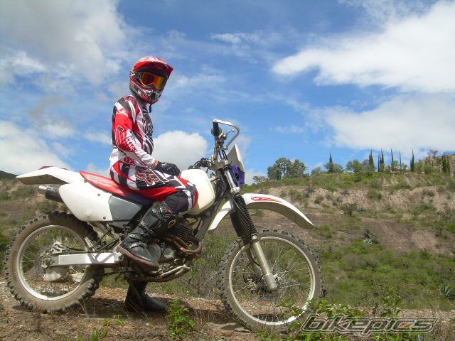 Bike Photo 1362639