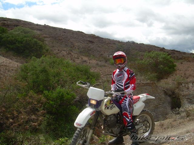 Photo 1362640