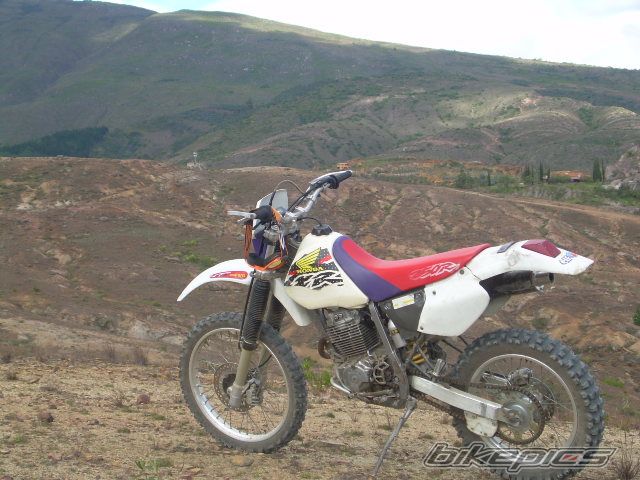 Photo 1362642