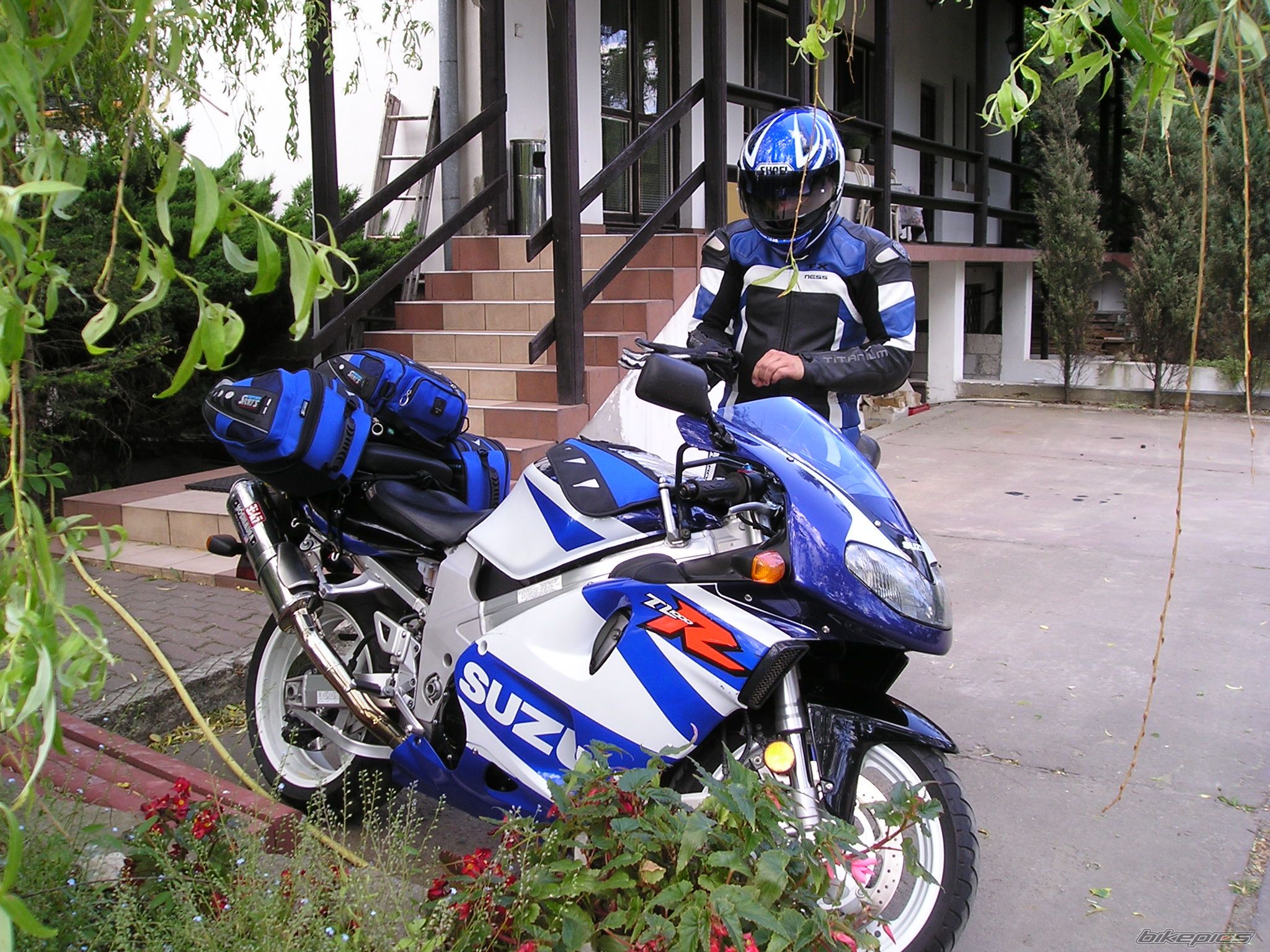 Photo 1362739