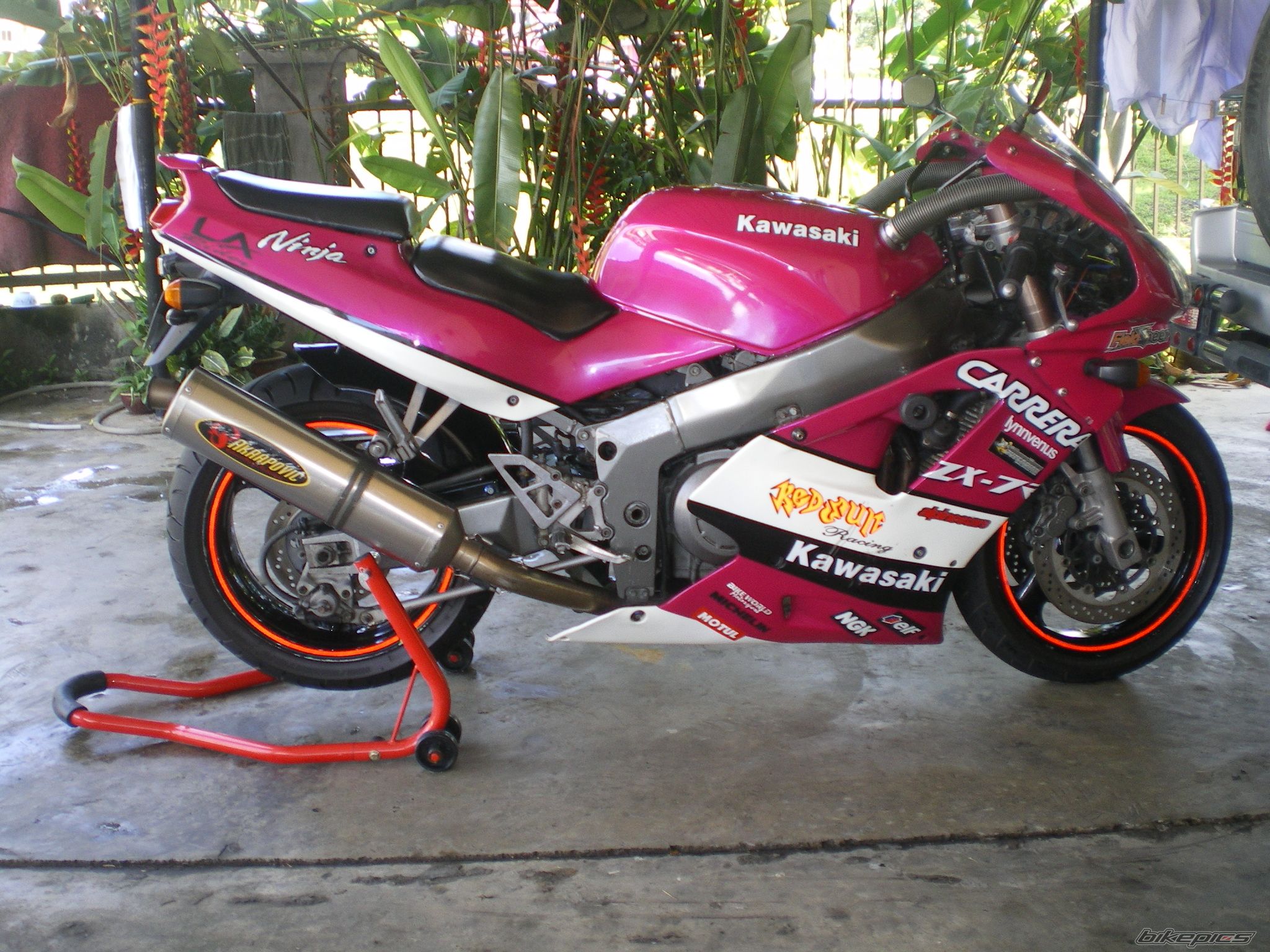 Photo 1362759