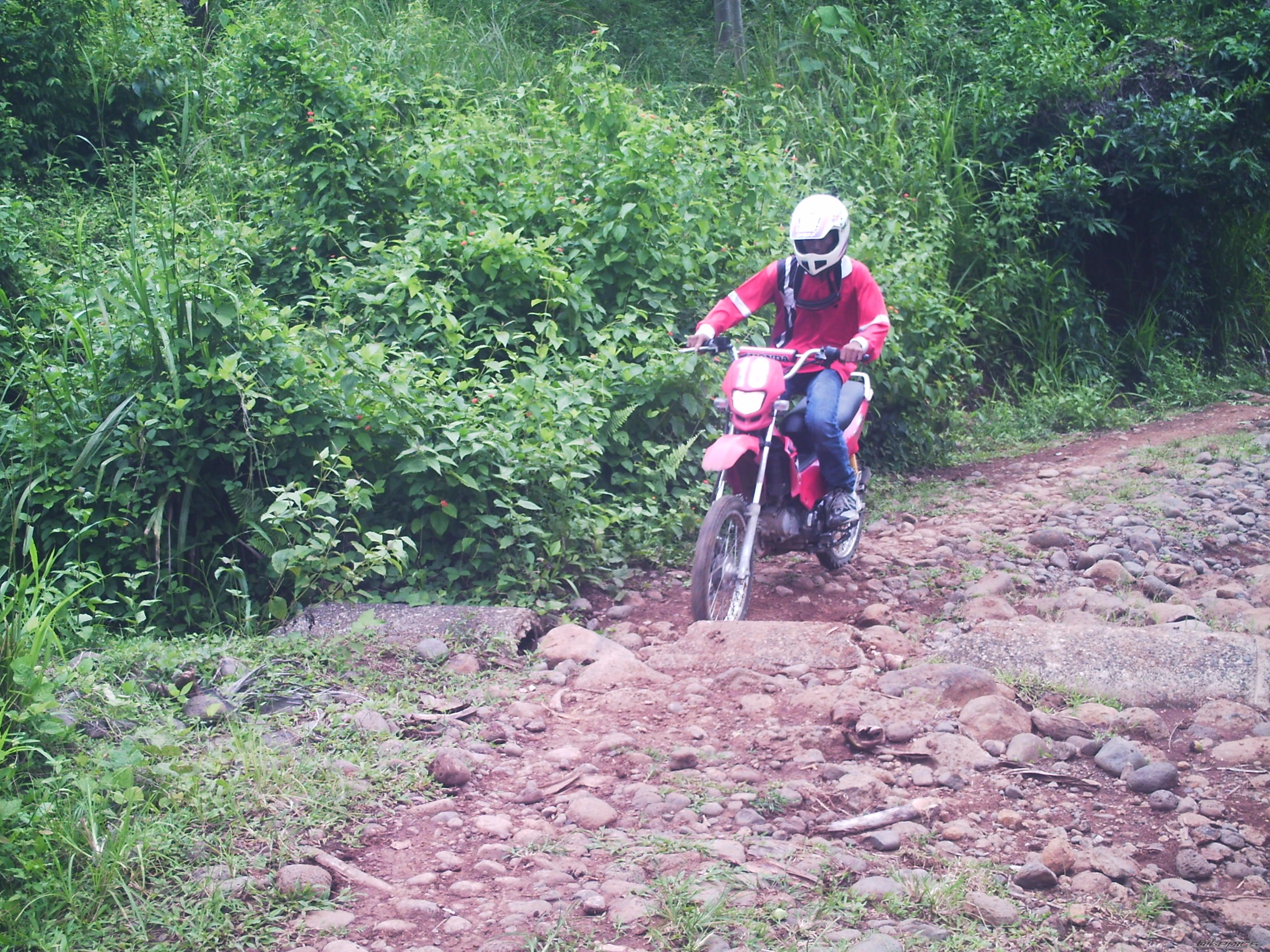 Photo 1362812