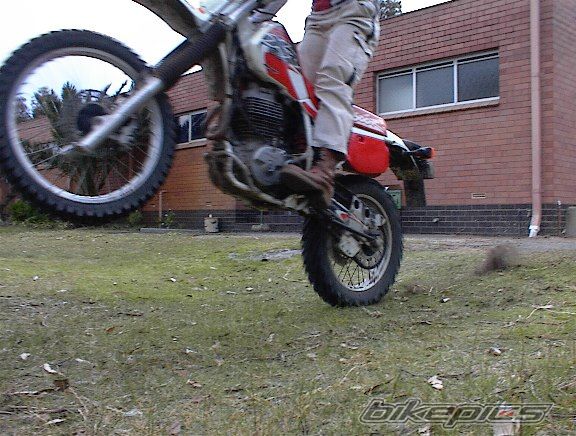 Photo 1362815