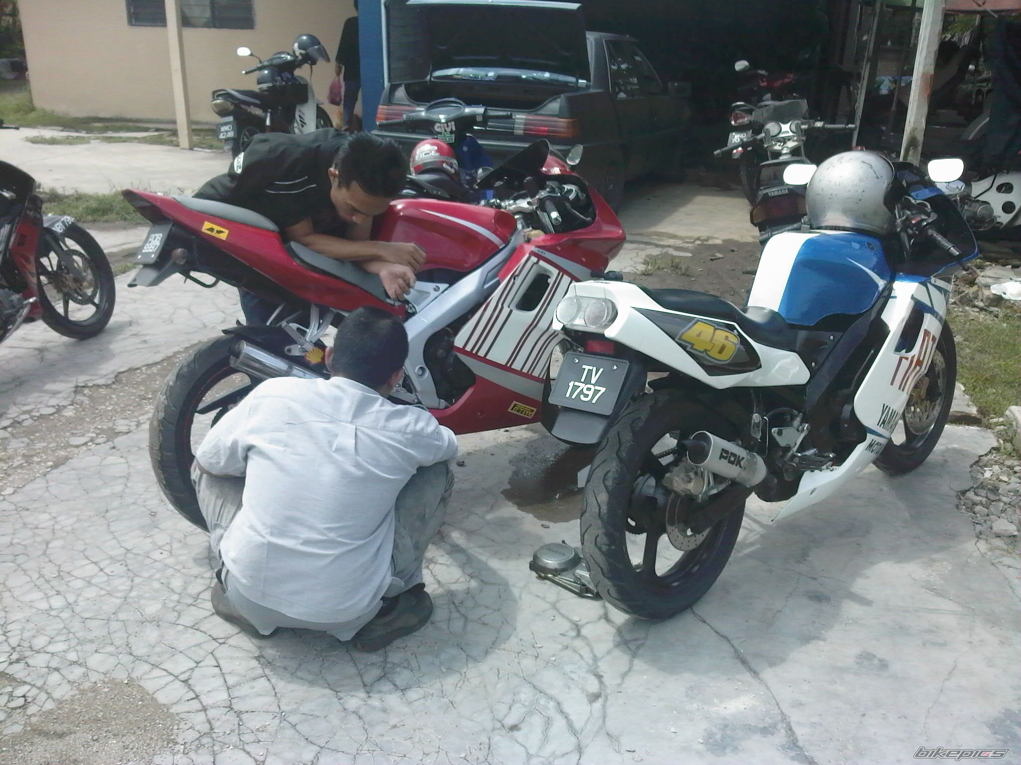 Photo 1362902
