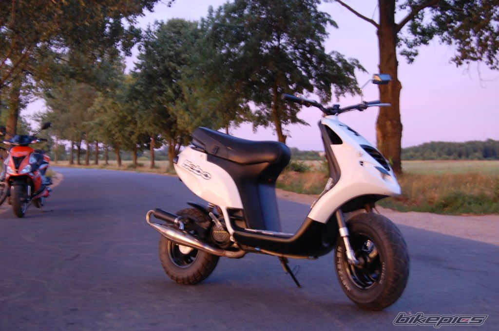 Photo 1363200